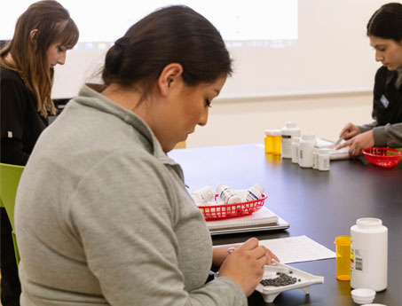 YVC Pharmacy Students measure Pharmacy Drugs during a hands on excercise. 