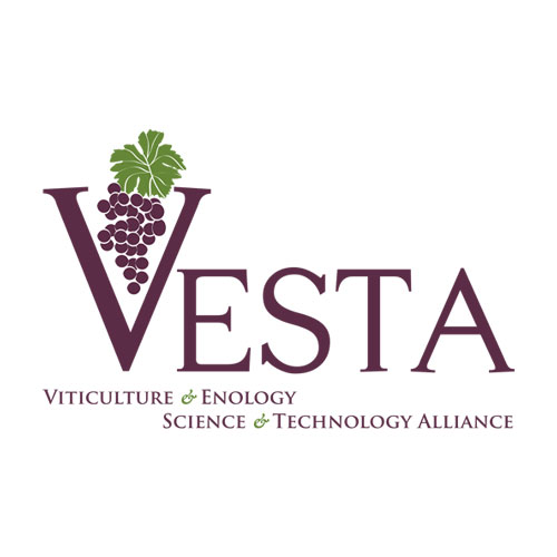 Vesta Logo with grapes inside the V. 