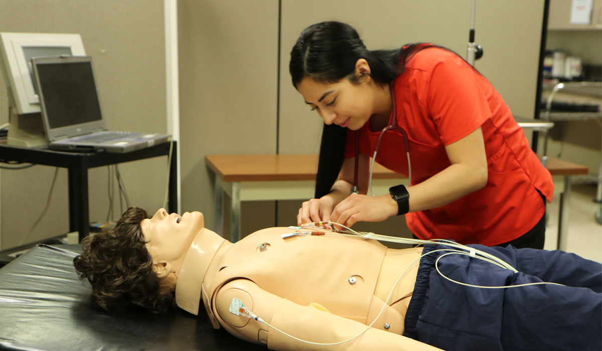 Healthcare student works on test patient