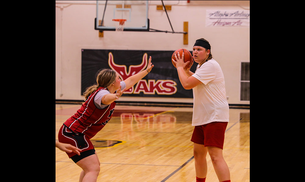 Two woman basketball players