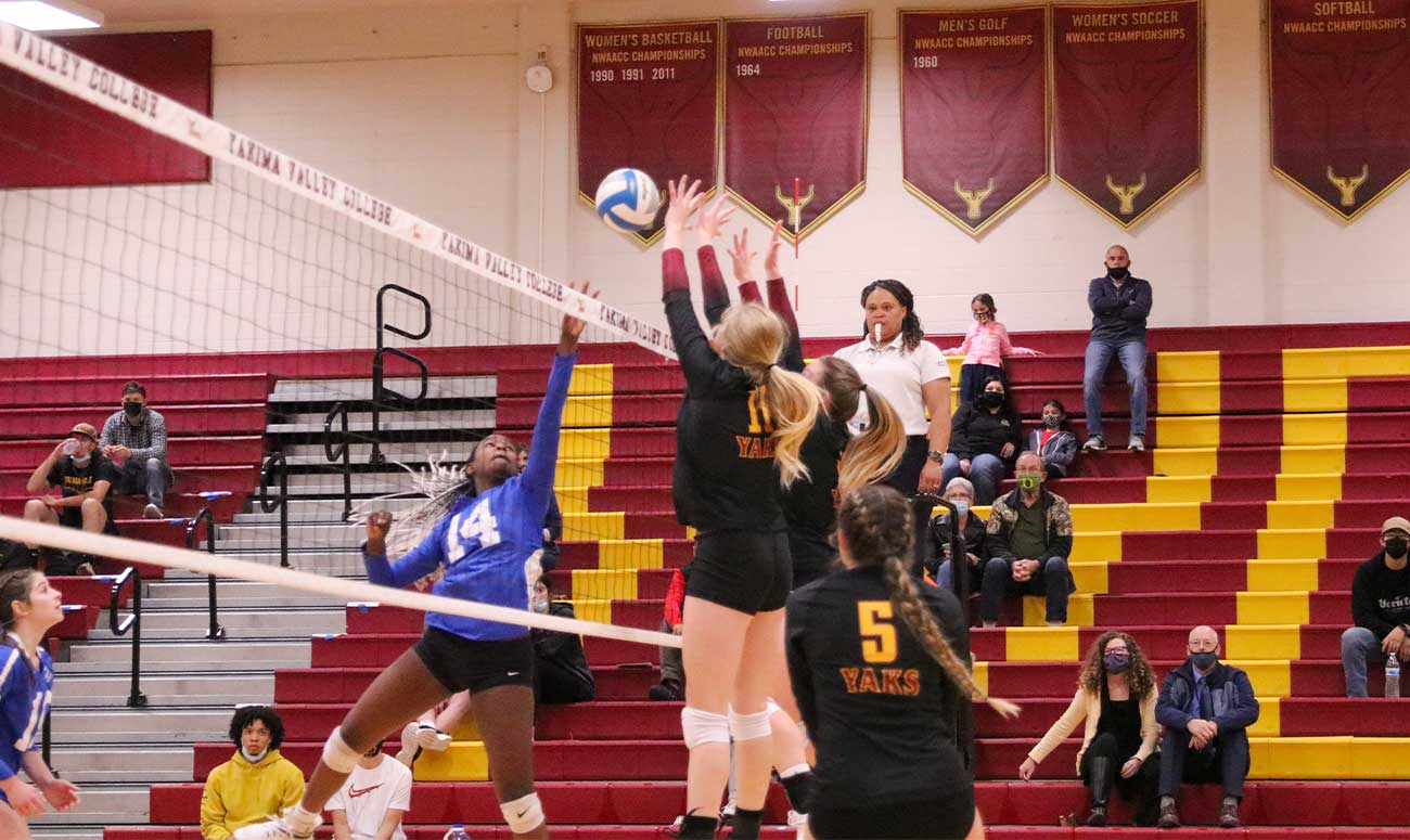 Female volleyball players block spike