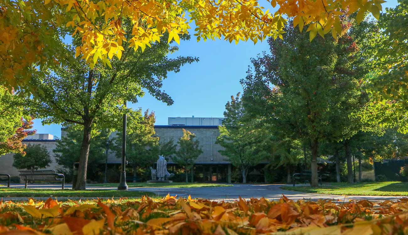 Fall colors on campus