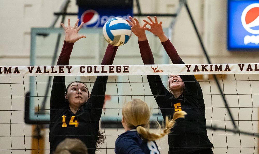 Female volleyball players block spike