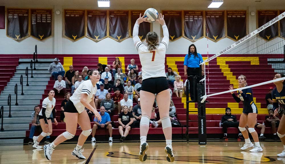 Female volleyball player sets ball