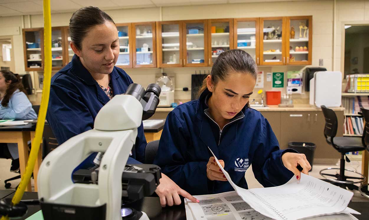 Veterinary Technology lab