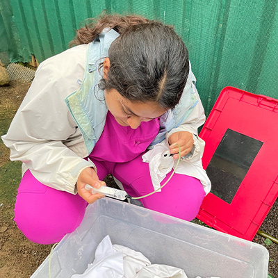 Veterinary technology student gives fluids to a bird