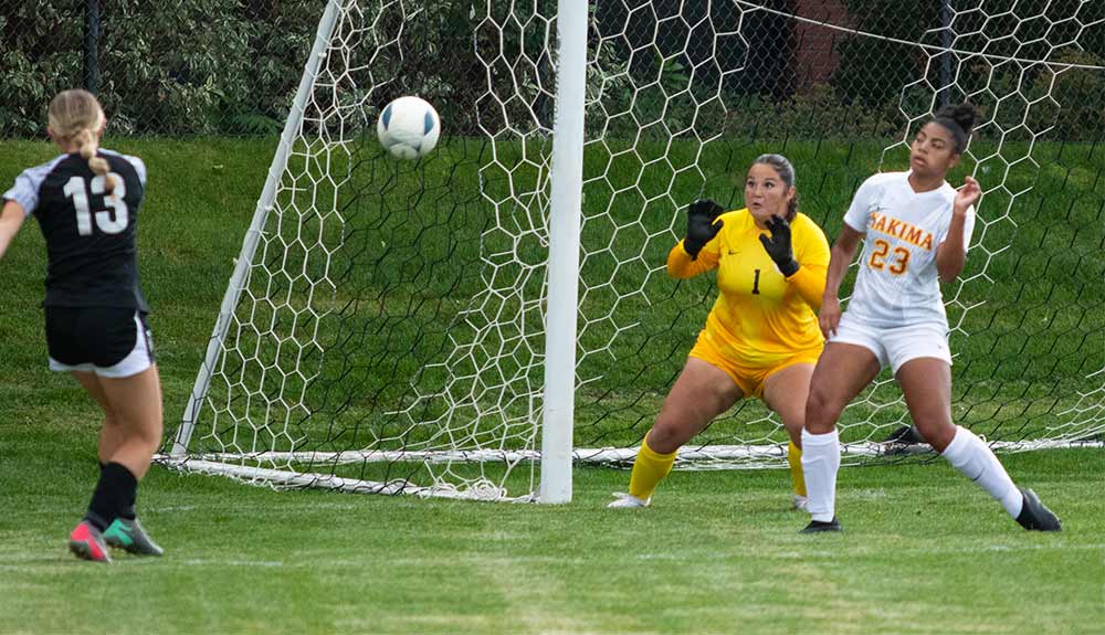 Soccer goalie prepares to make save