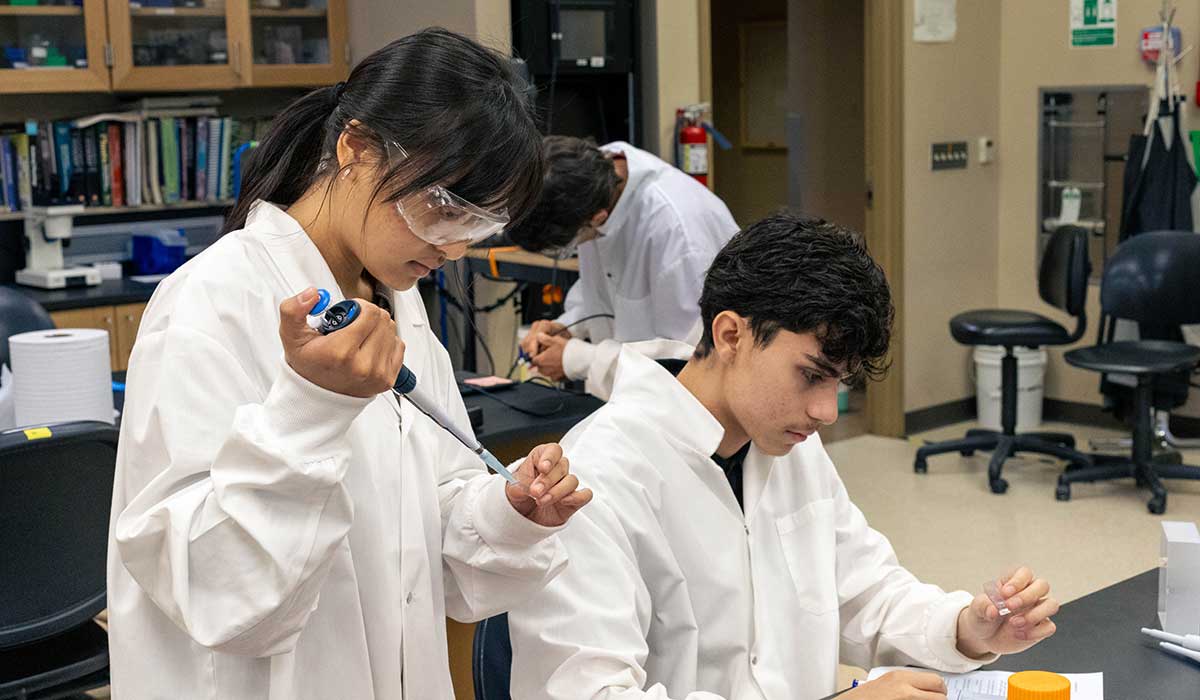 Students work on a lab project during research