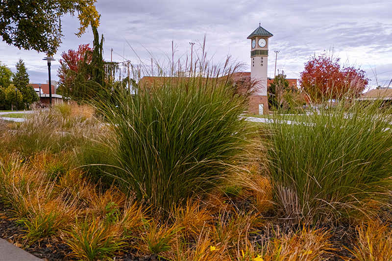 YVC Yakima Campus clocktower in fall