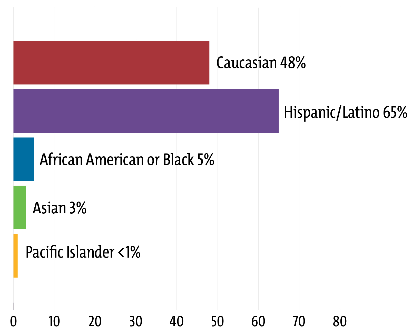 Ethnicity during 2023-2024 year