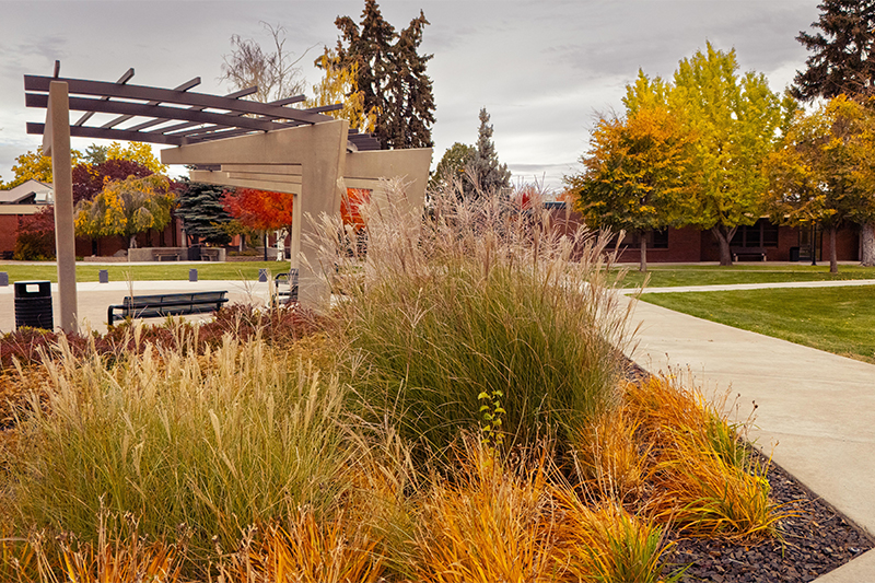 Fall colors highlight a walkway on YVC's Yakima Campus