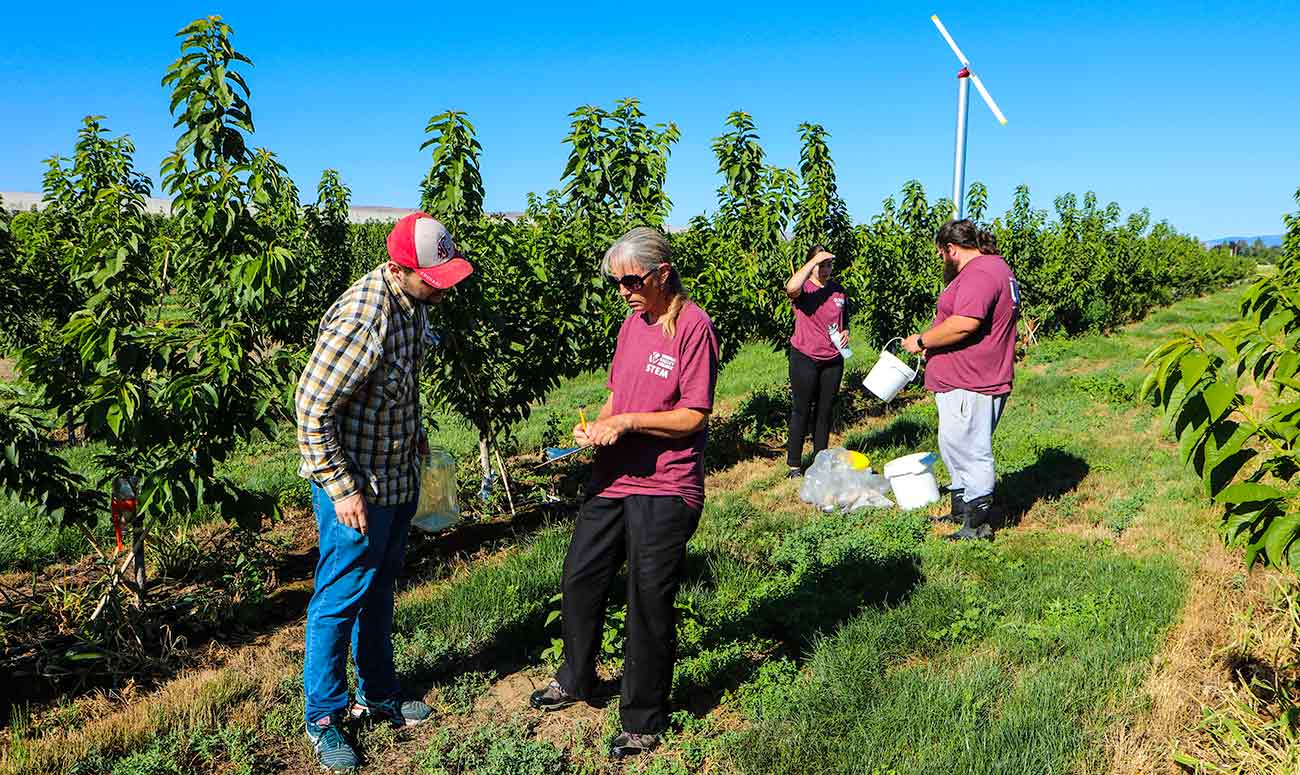 agriculture students work in orchard