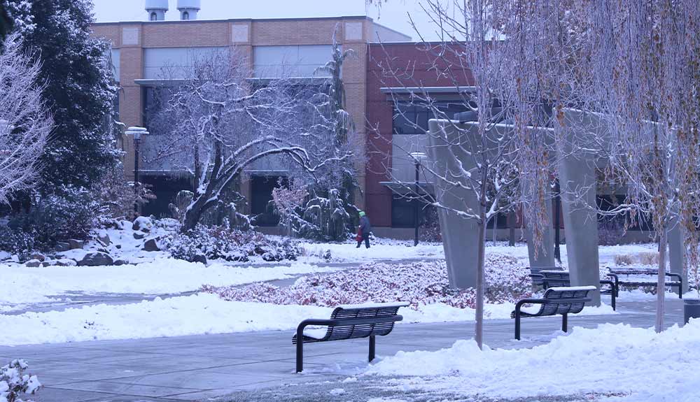 Empty bench in front of building covered with snow