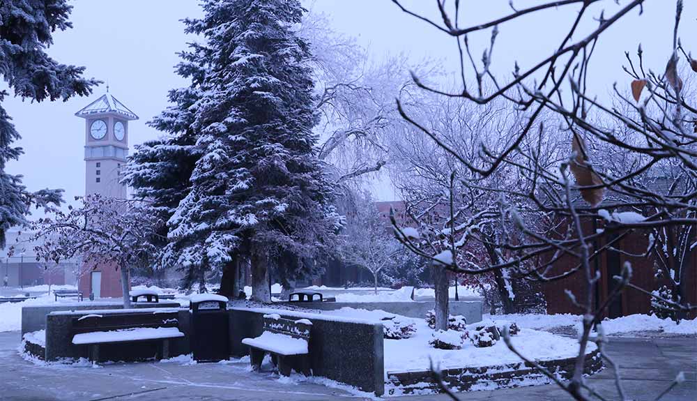 Clocktower and trees as snow falls