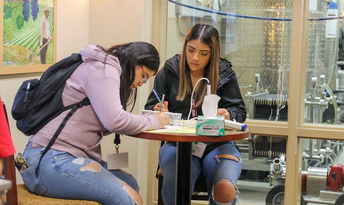 Students analyze wine samples