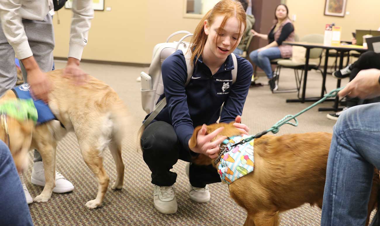 A student pets a therapy dog during the Love on a Leash event.