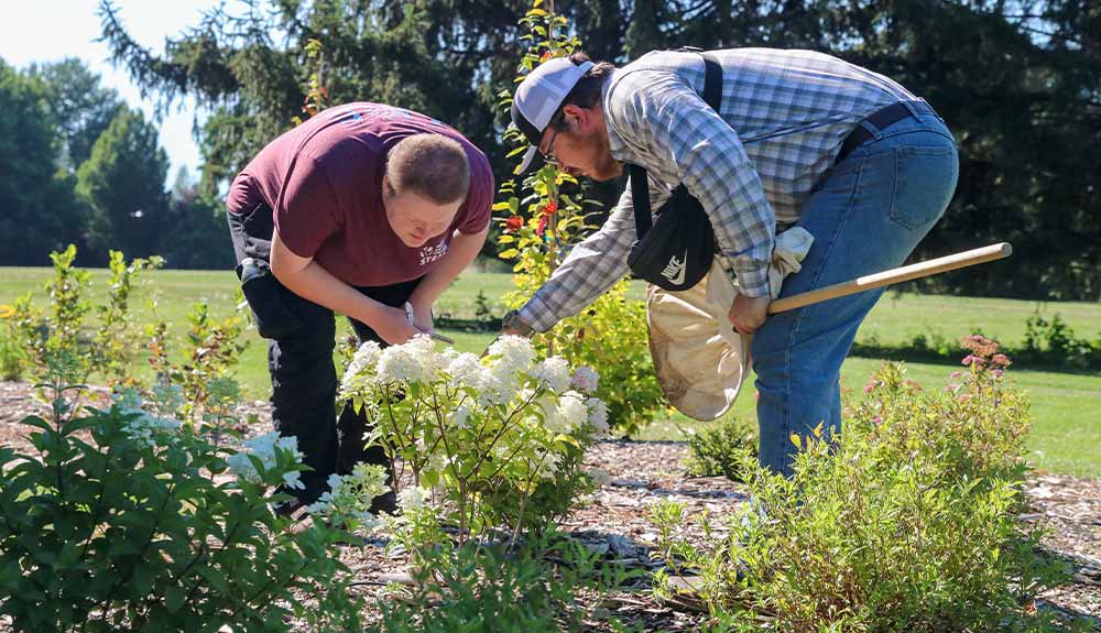 YVC student looks for pollinators in Yakima Arboretum as part of research project