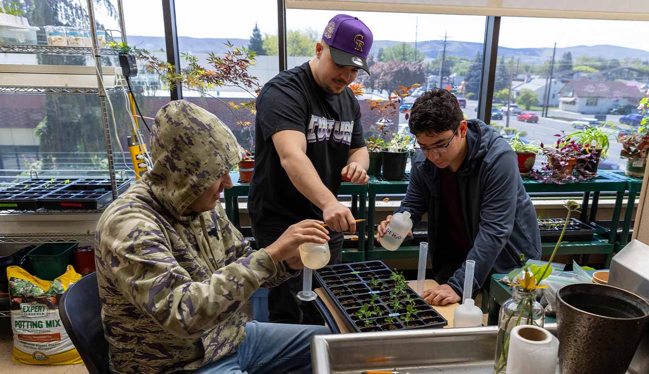 YVC biology students measure seedlings in greenhouse