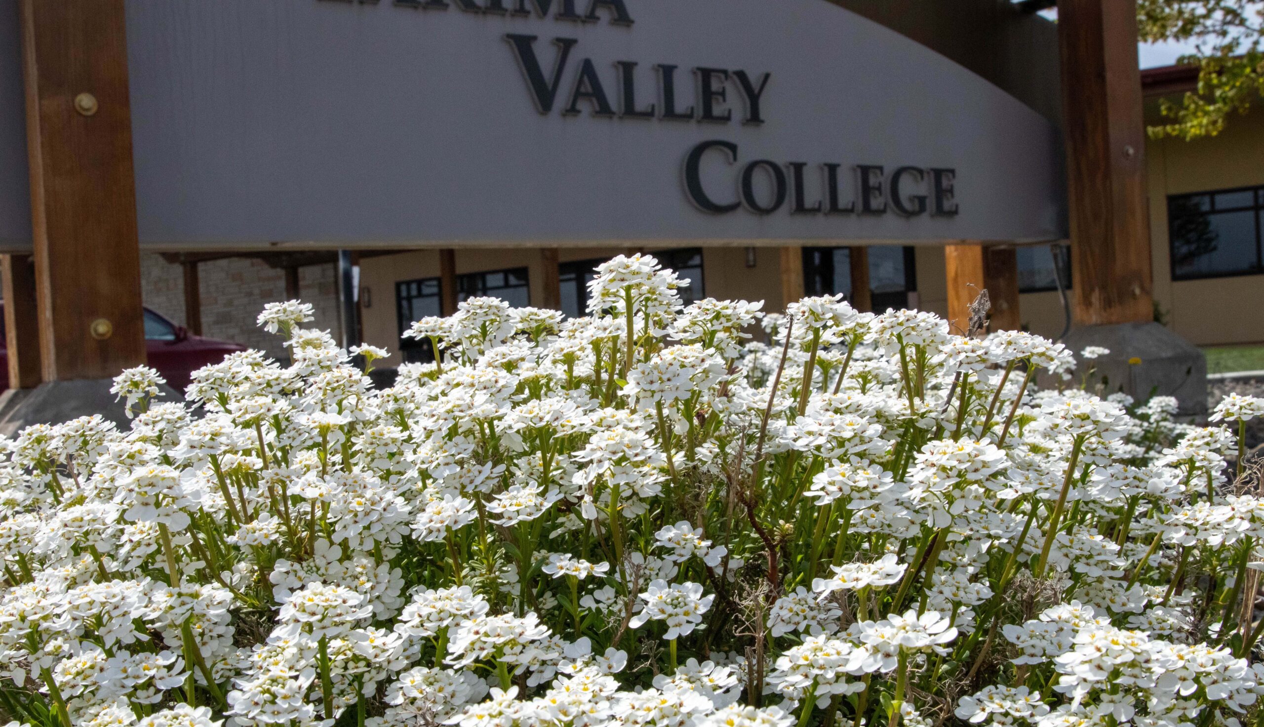 Flowers bloom in front of a college sign adjacent to the Workforce Education Center on the Grandview Campus.