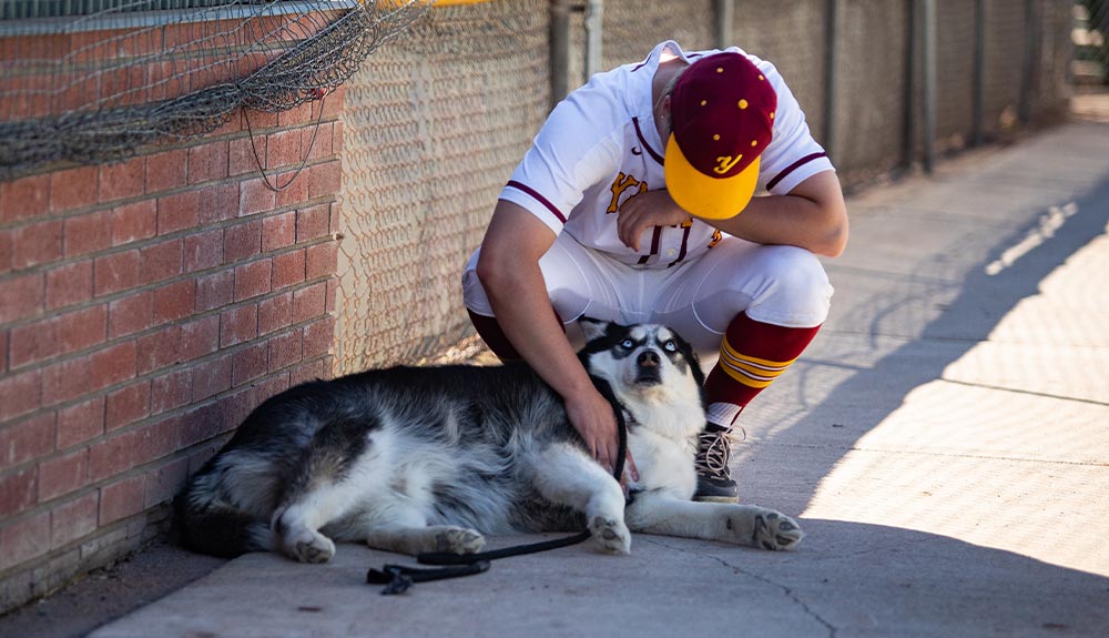 Yakima Valley College baseball player pets dog