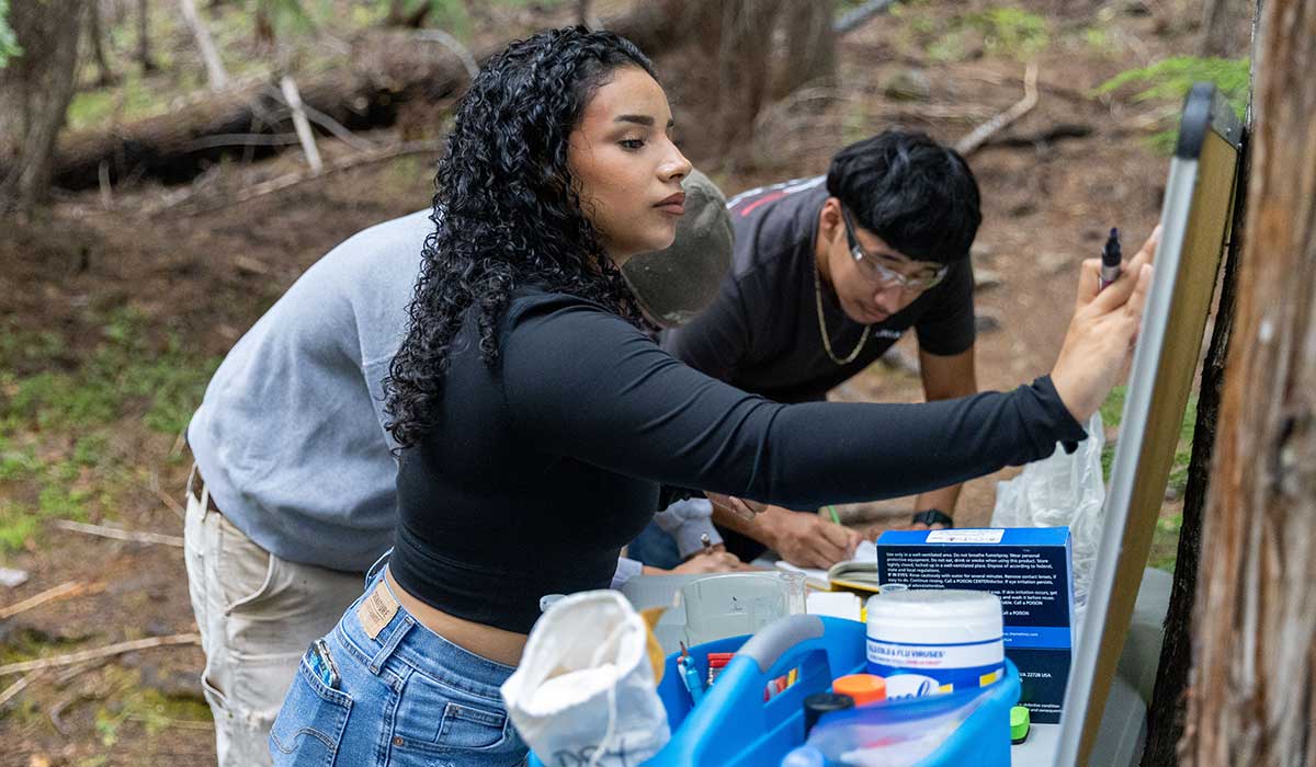 STEM students work on an undergraduate research project