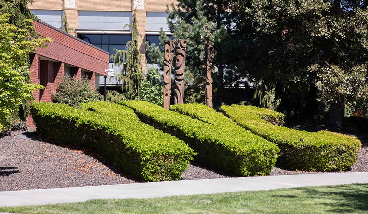 YVC bushes on the Yakima Campus