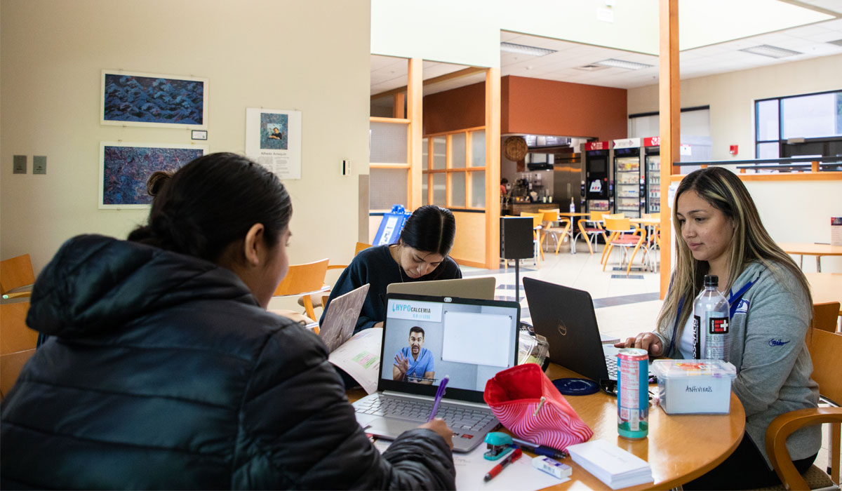 Students working on their lap tops in a YVC common area. 