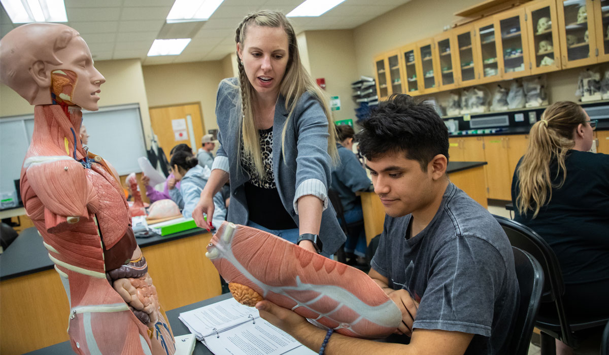 Students working on class assignment during healthcare class. 