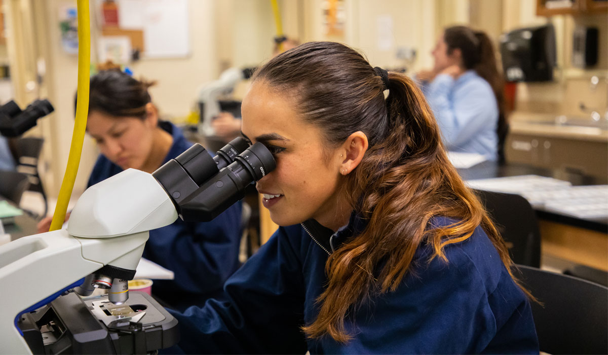 Student works on microscope