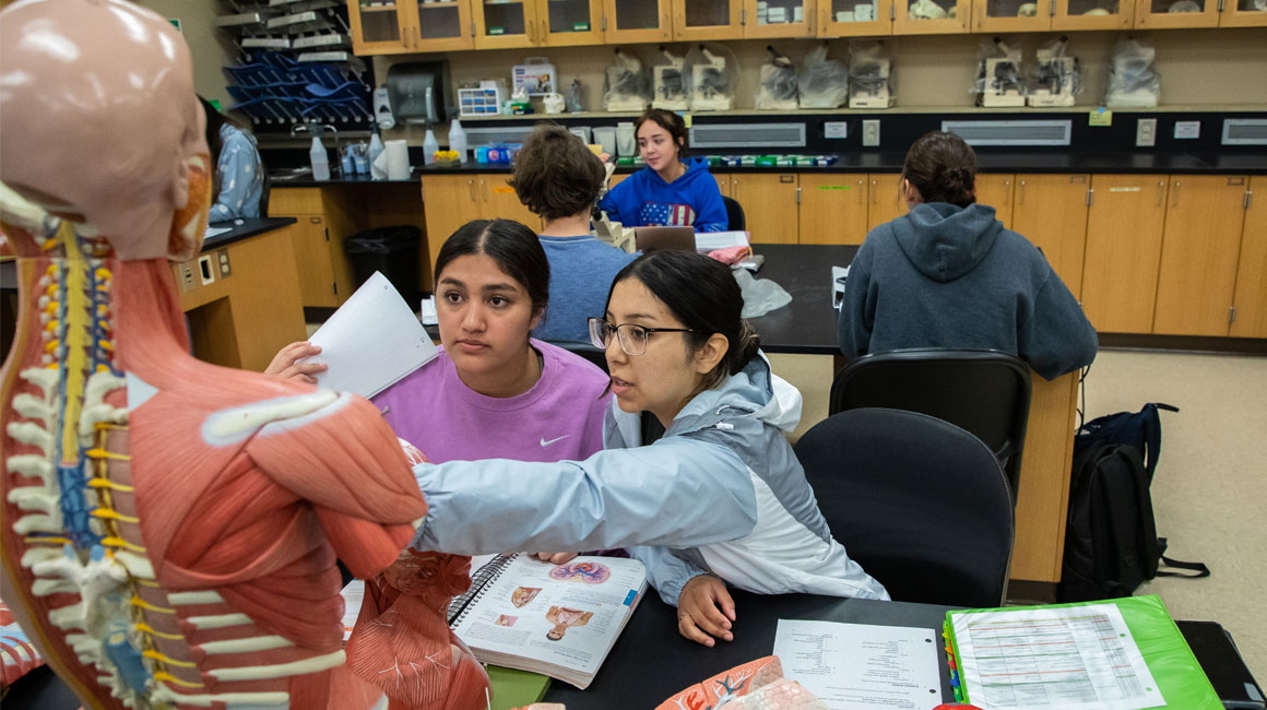 Two students working on human body training tool. 