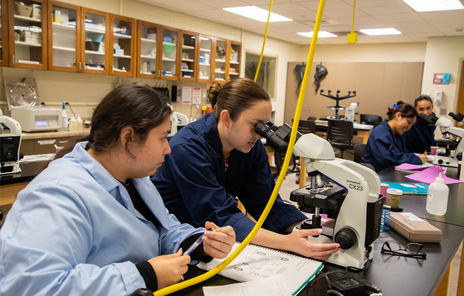 Students working on Microscope